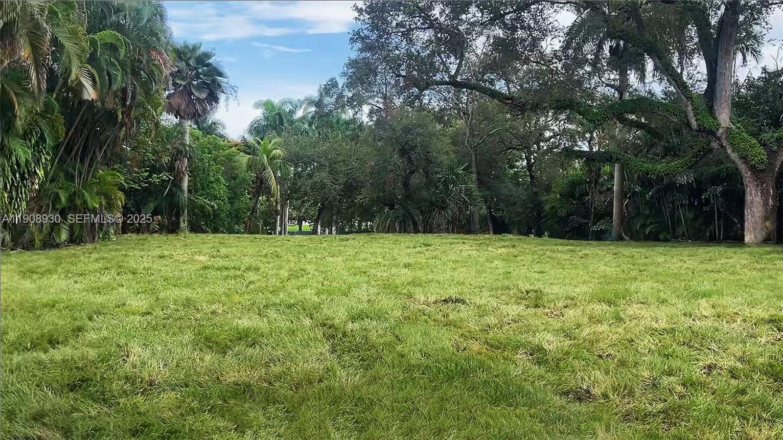 3231 Calusa Street, Miami, FL 33133