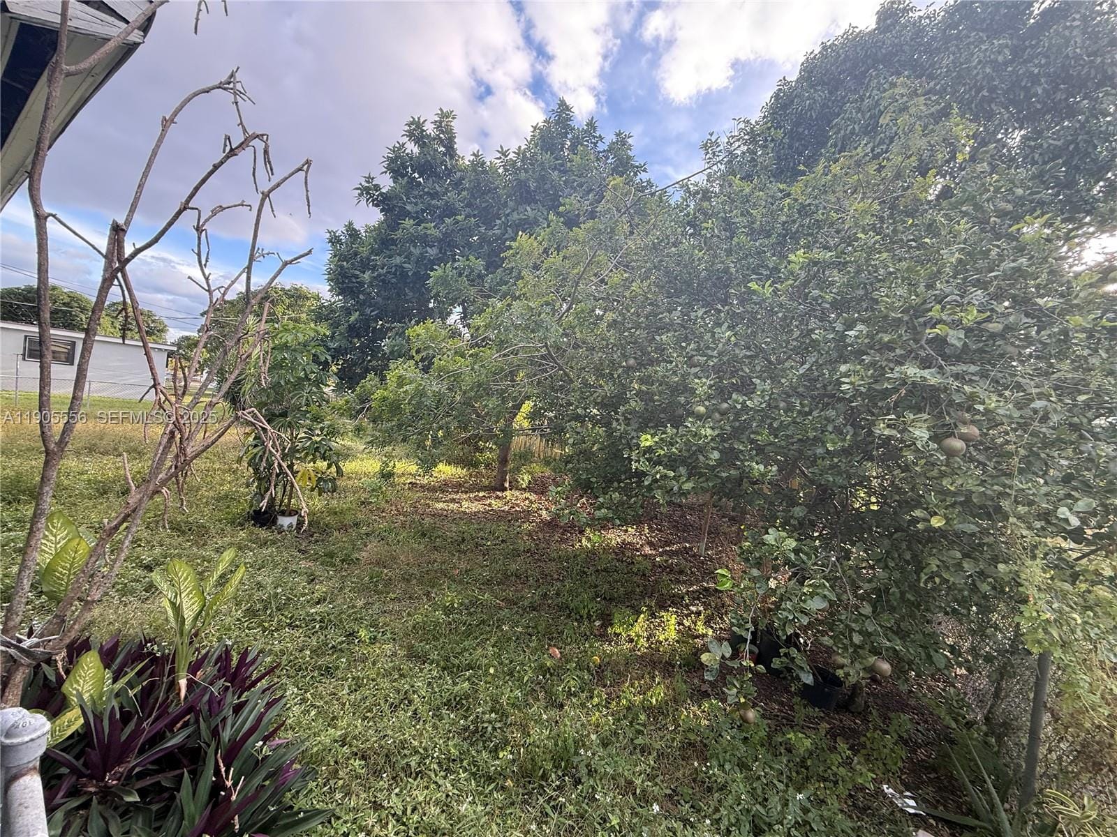 9100 Broad Manor Road — photo 9