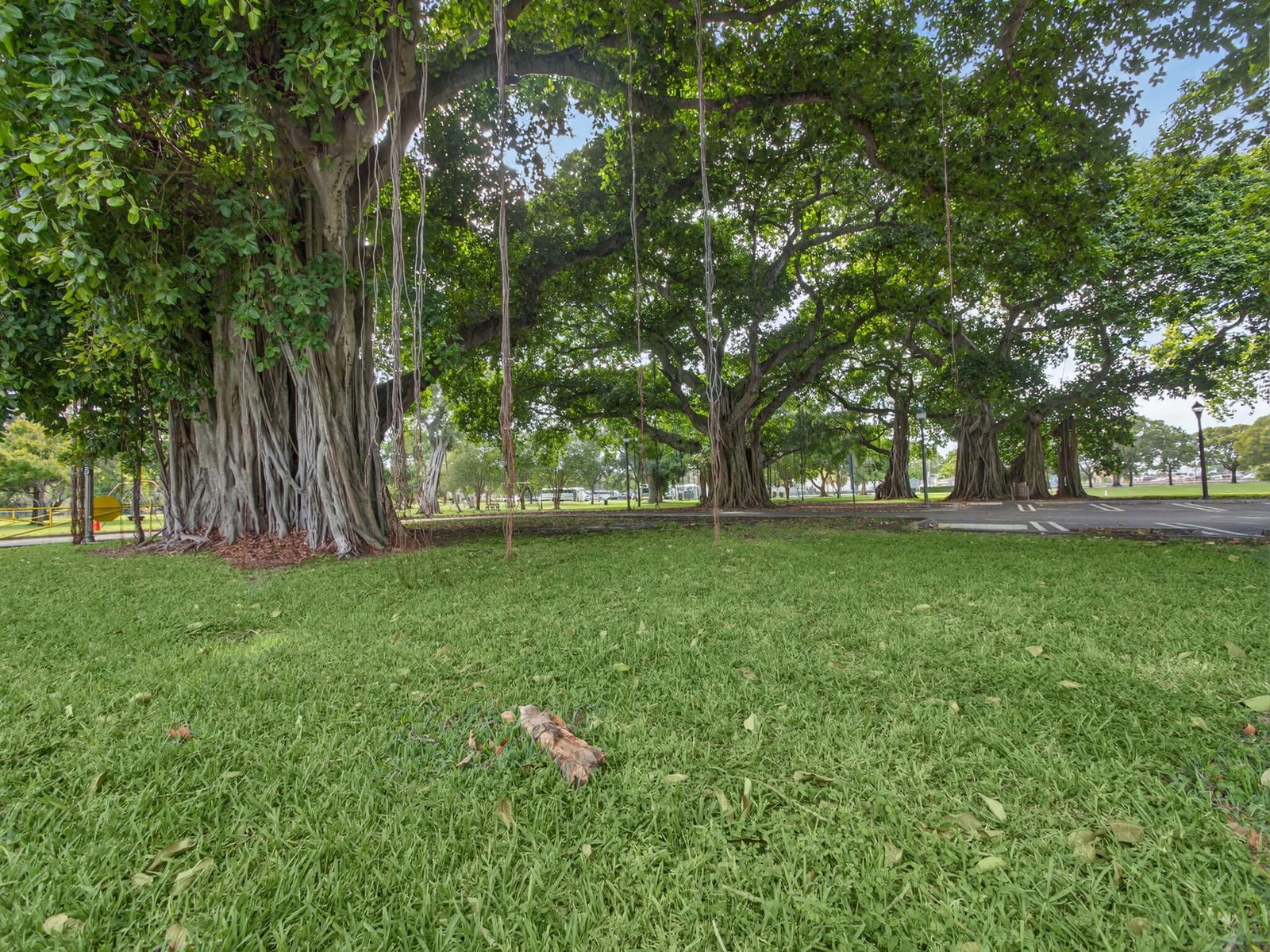 747 N Street, West Palm Beach, FL 33401 photo 26