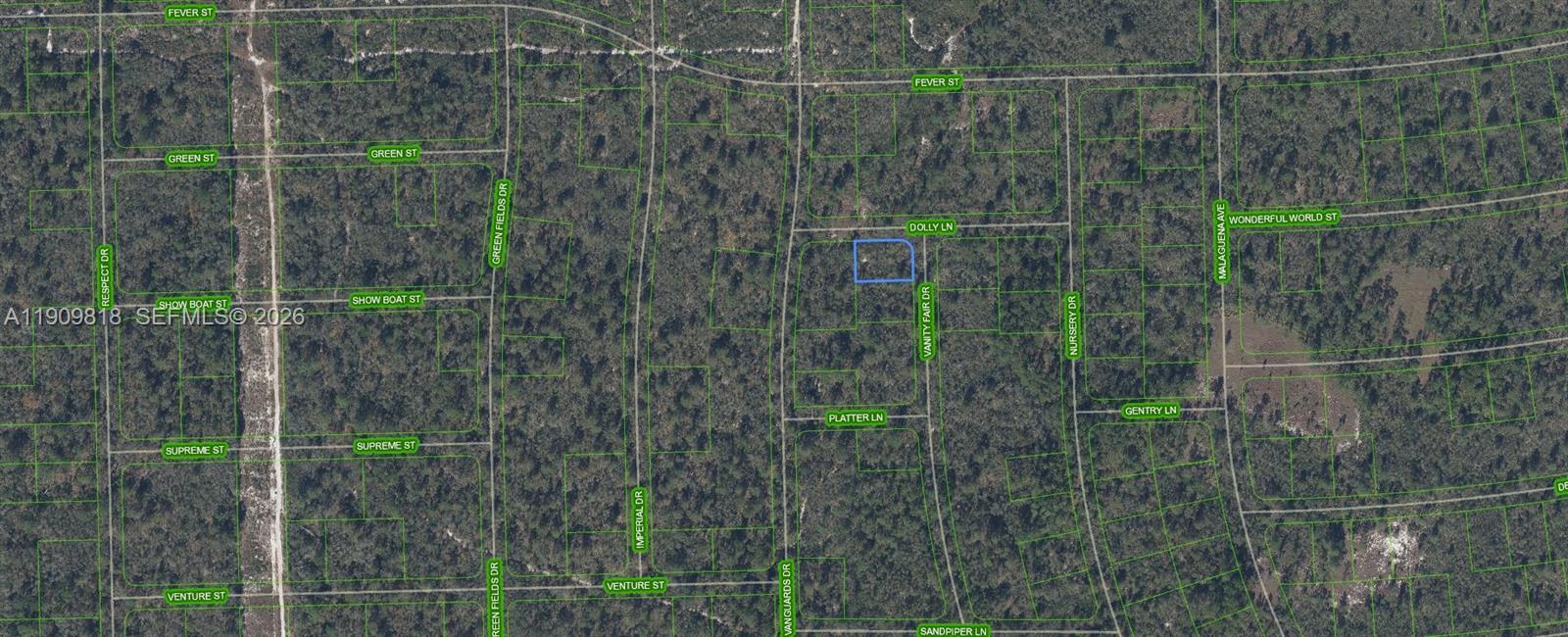 305 Dolly Lane, Lake Placid, FL 33852, Lake Placid