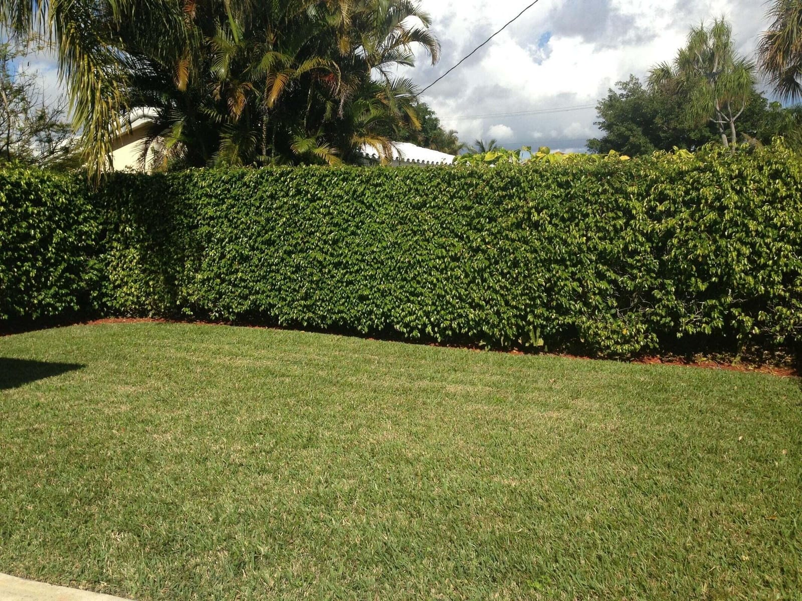 2098 NE 4th Court, Boca Raton, FL 33431 photo 11