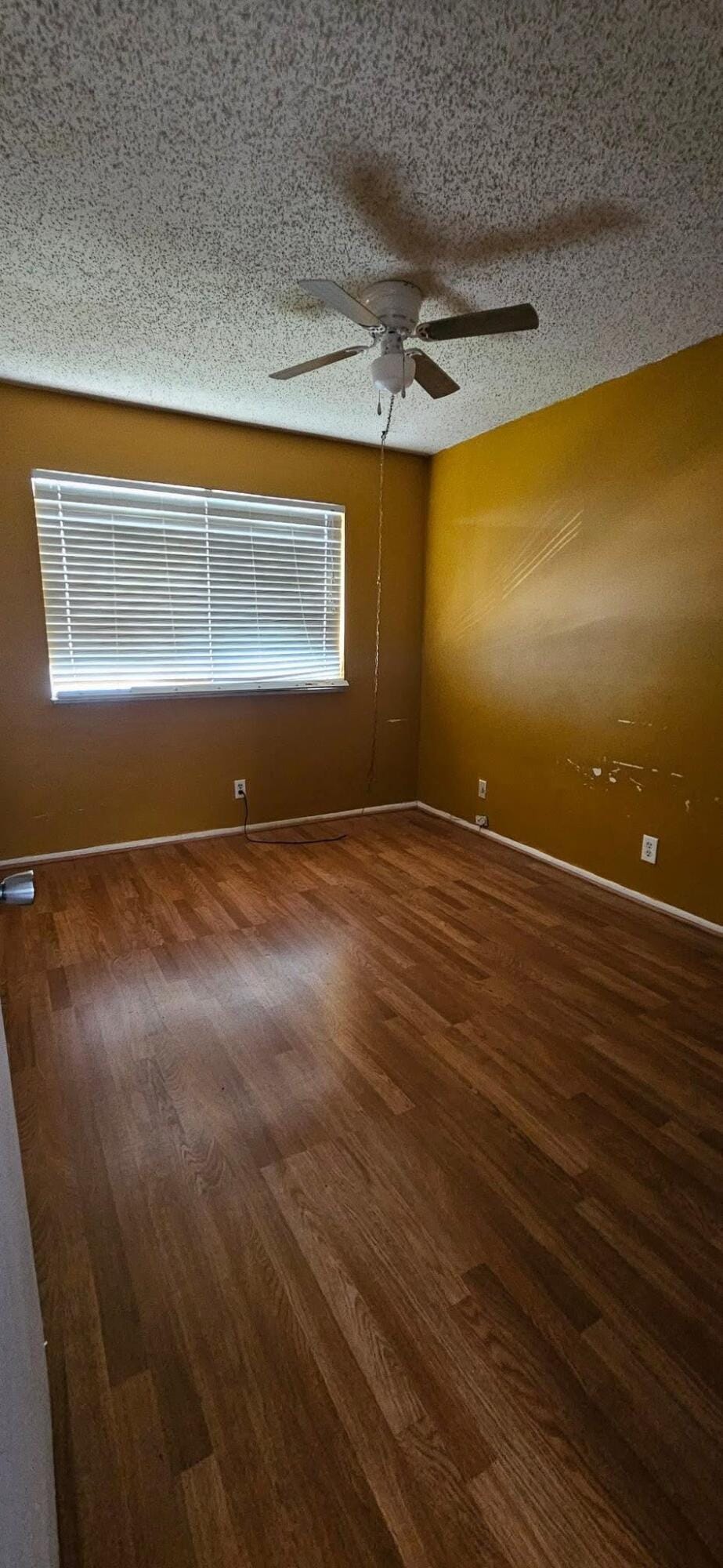 906 E Tiffany Drive 4, Mangonia Park, FL 33407 photo 3