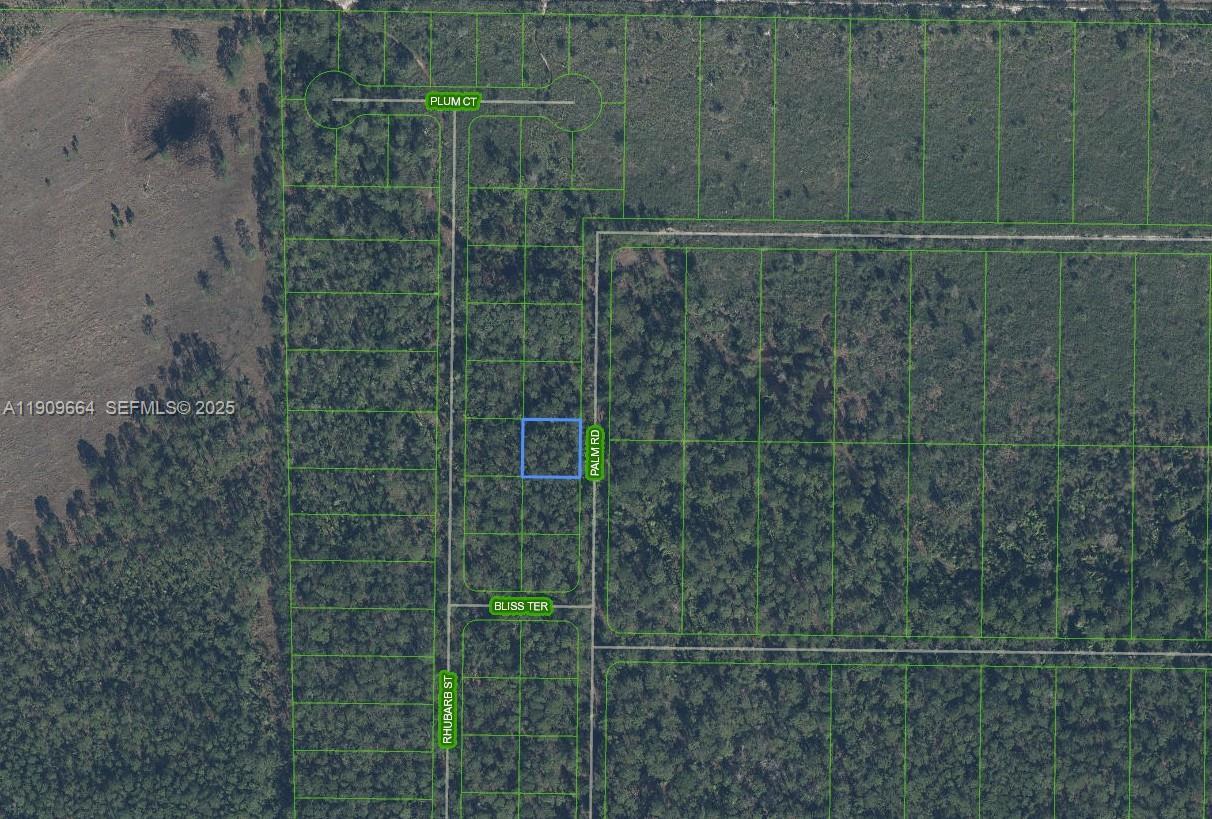 4817 Palm Road, Sebring, FL 33875, Sebring