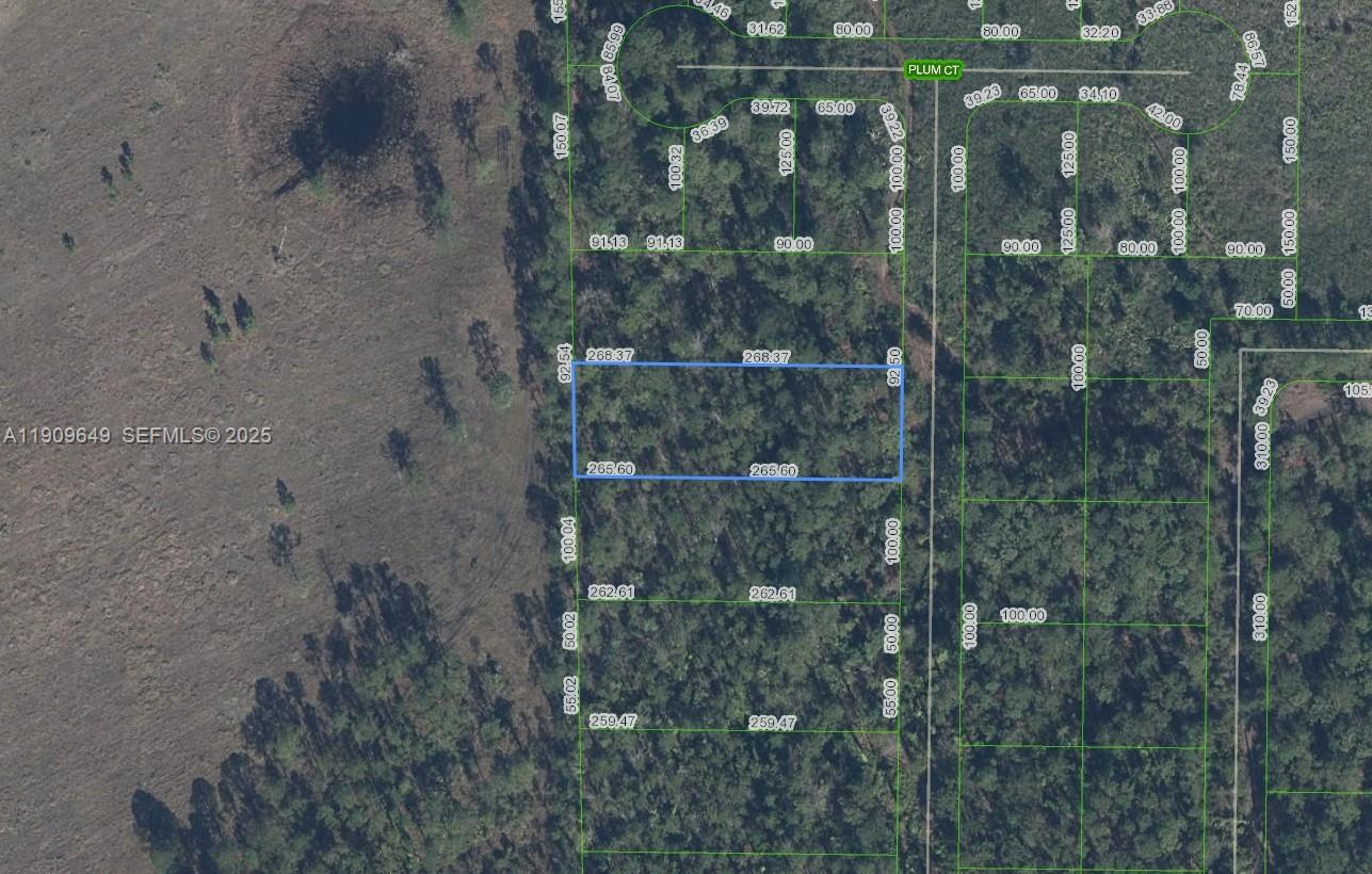 4705 Rhubarb Street, Sebring, FL 33875, Sebring