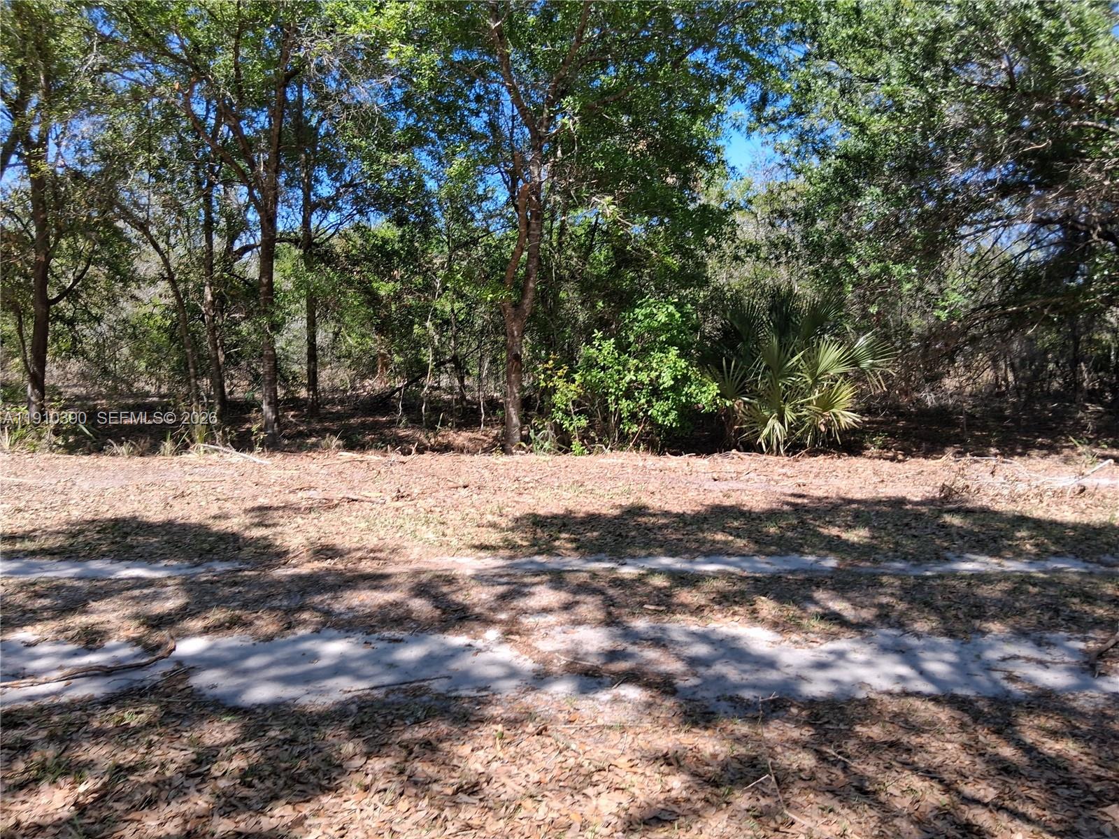 2822 W Yepremian Road, Avon Park, FL 33825, Avon Park