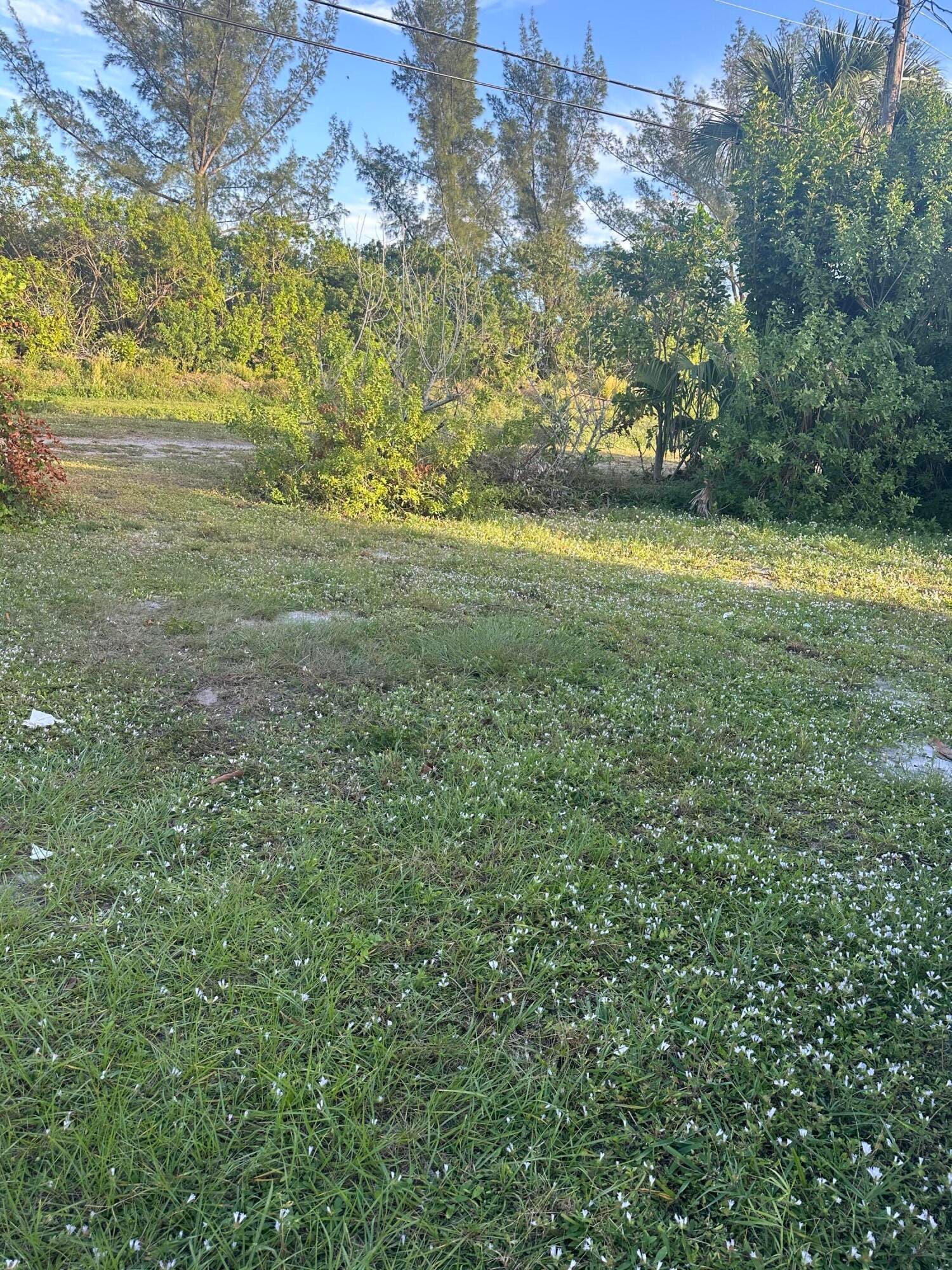 1210 Avenue R, Riviera Beach, FL 33404 photo 22