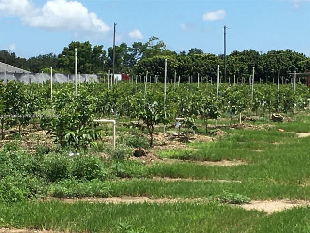 15000 SW 256 Street, Homestead, FL 33032