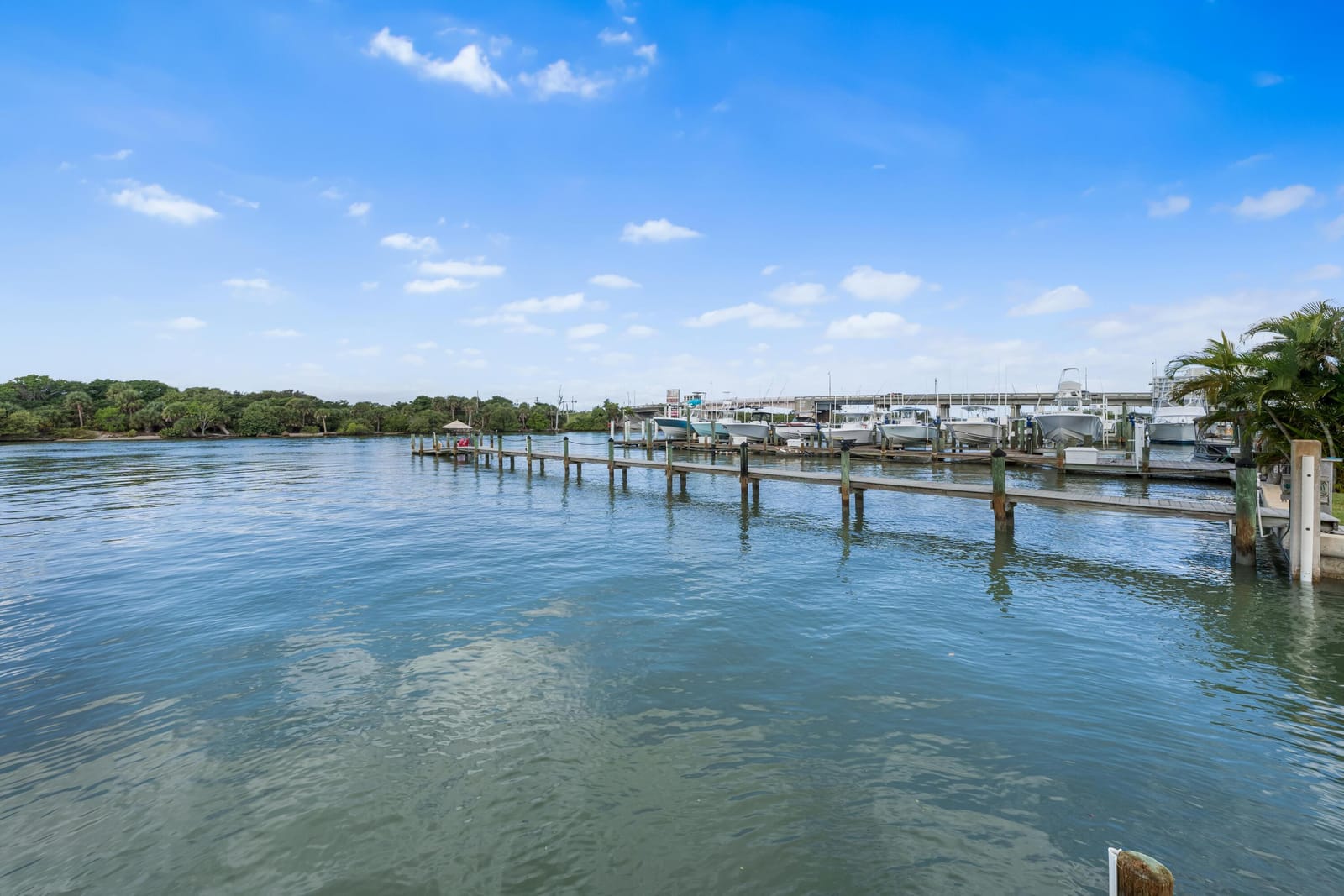 107 Lighthouse Drive, Jupiter Inlet Colony, FL 33469 photo 5