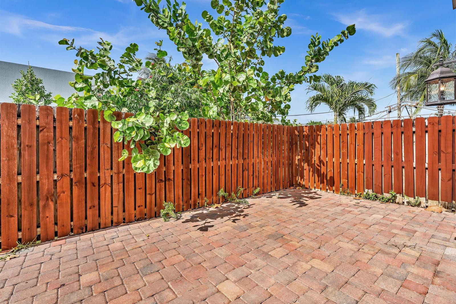 3113 Shelby Way — photo 8