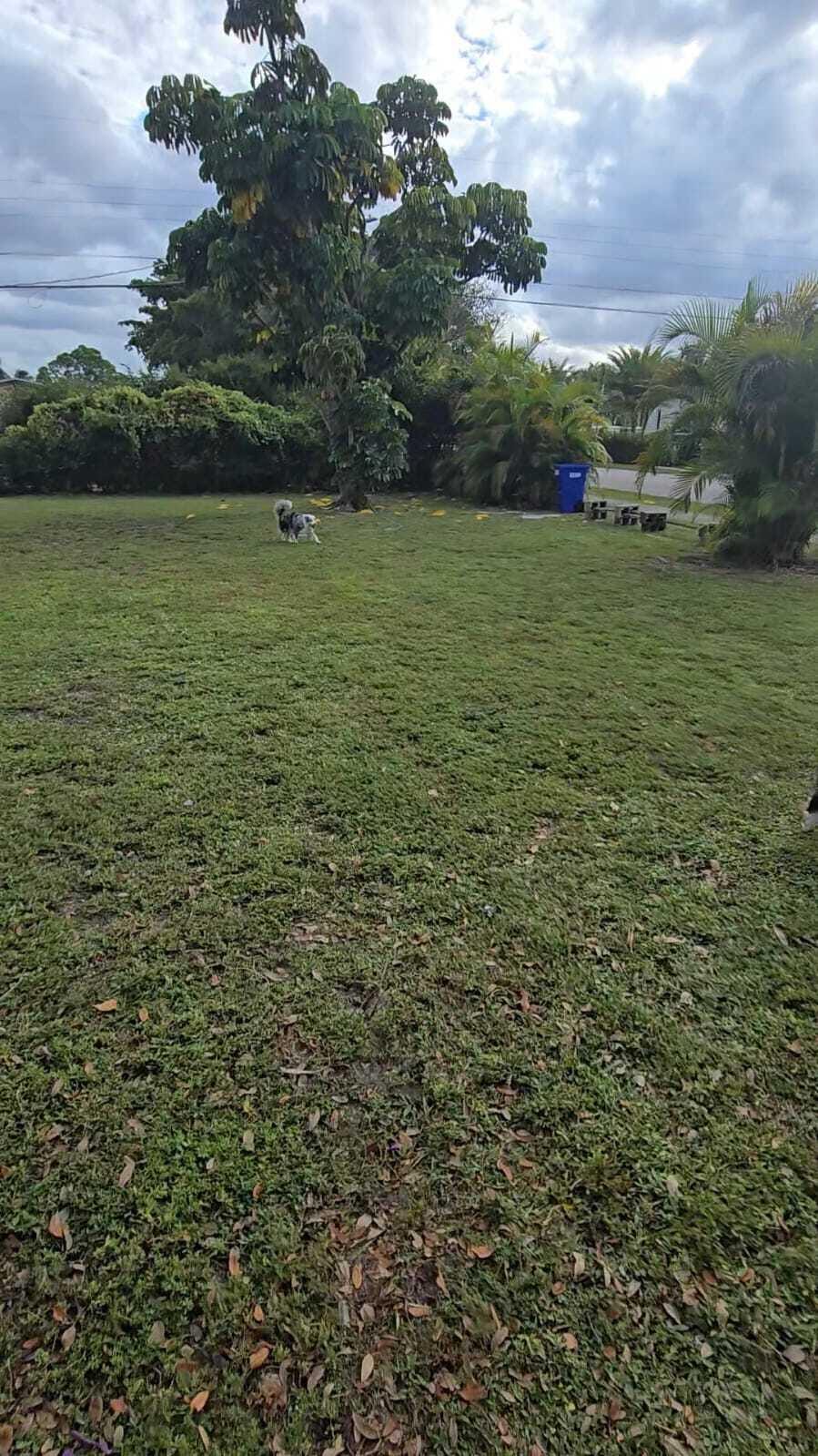 1300 NE 182nd Street, North Miami Beach, FL 33162 photo 19