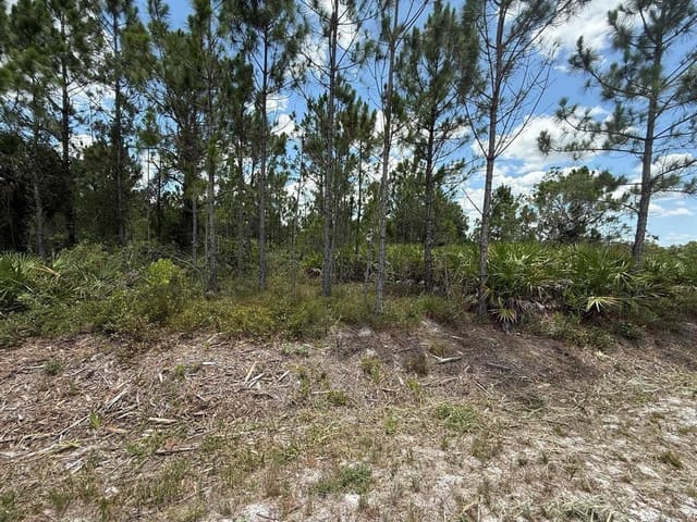 16483 NW 302nd Street, sold in Okeechobee, Okeechobee, FL