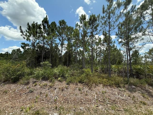 17428 NW 288th Street, sold in Okeechobee, Okeechobee, FL