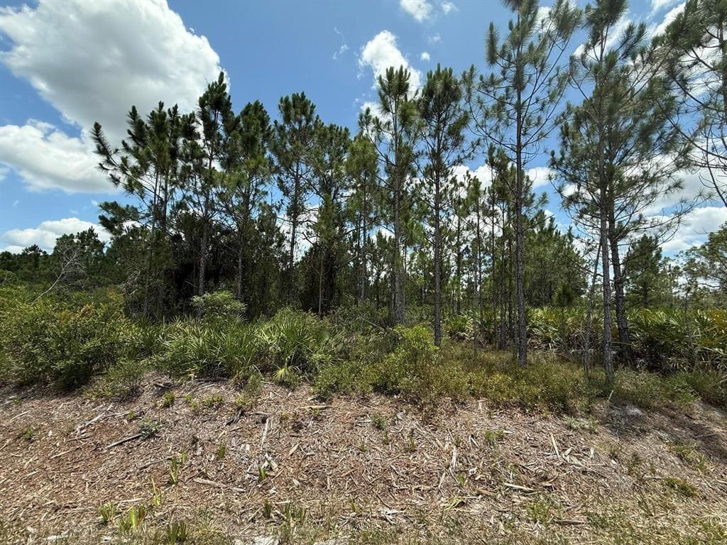 17428 NW 288th Street, Okeechobee, FL 34972