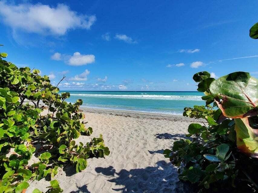 1605 S Us Highway 1 F203, Jupiter, FL 33477 photo 2