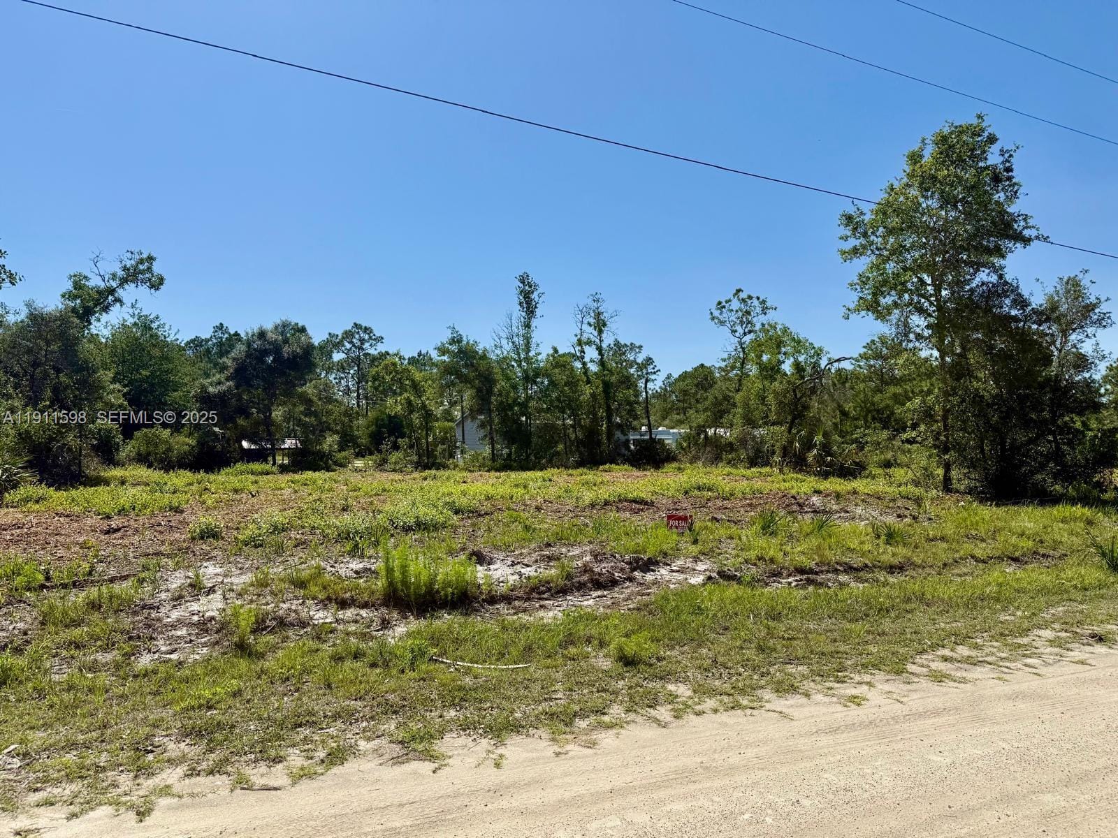 0 103rd Terrace, FL 32625 photo 9