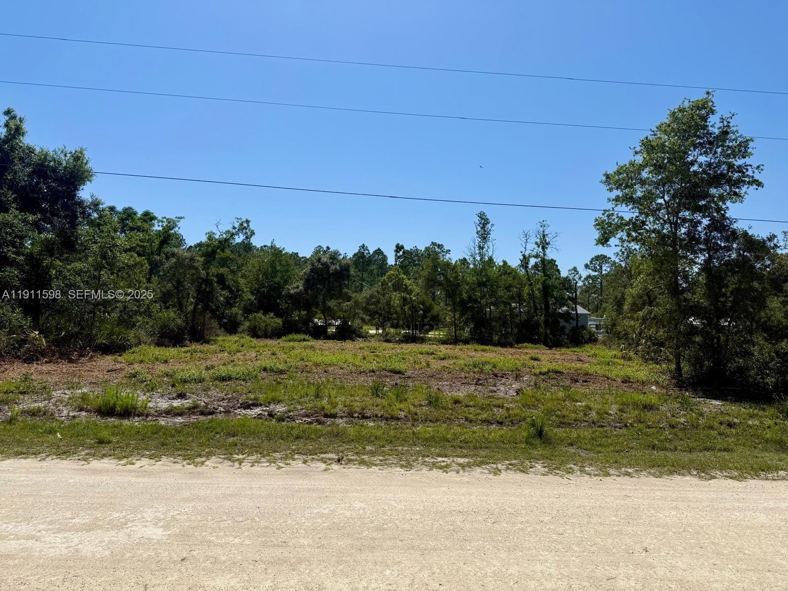 0 103rd Terrace, FL 32625 photo 10