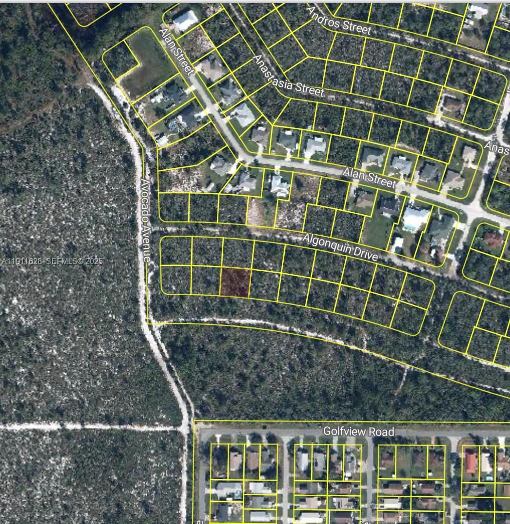 2224 Carla Avenue, Sebring, FL 33875 photo 2