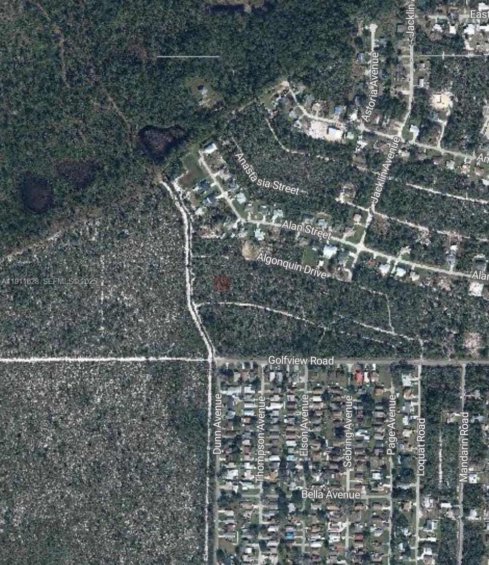 2224 Carla Avenue, Sebring, FL 33875 photo 3