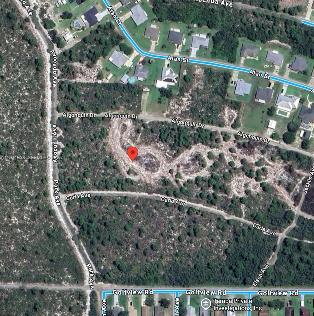 2224 Carla Avenue, Sebring, FL 33875 photo 4