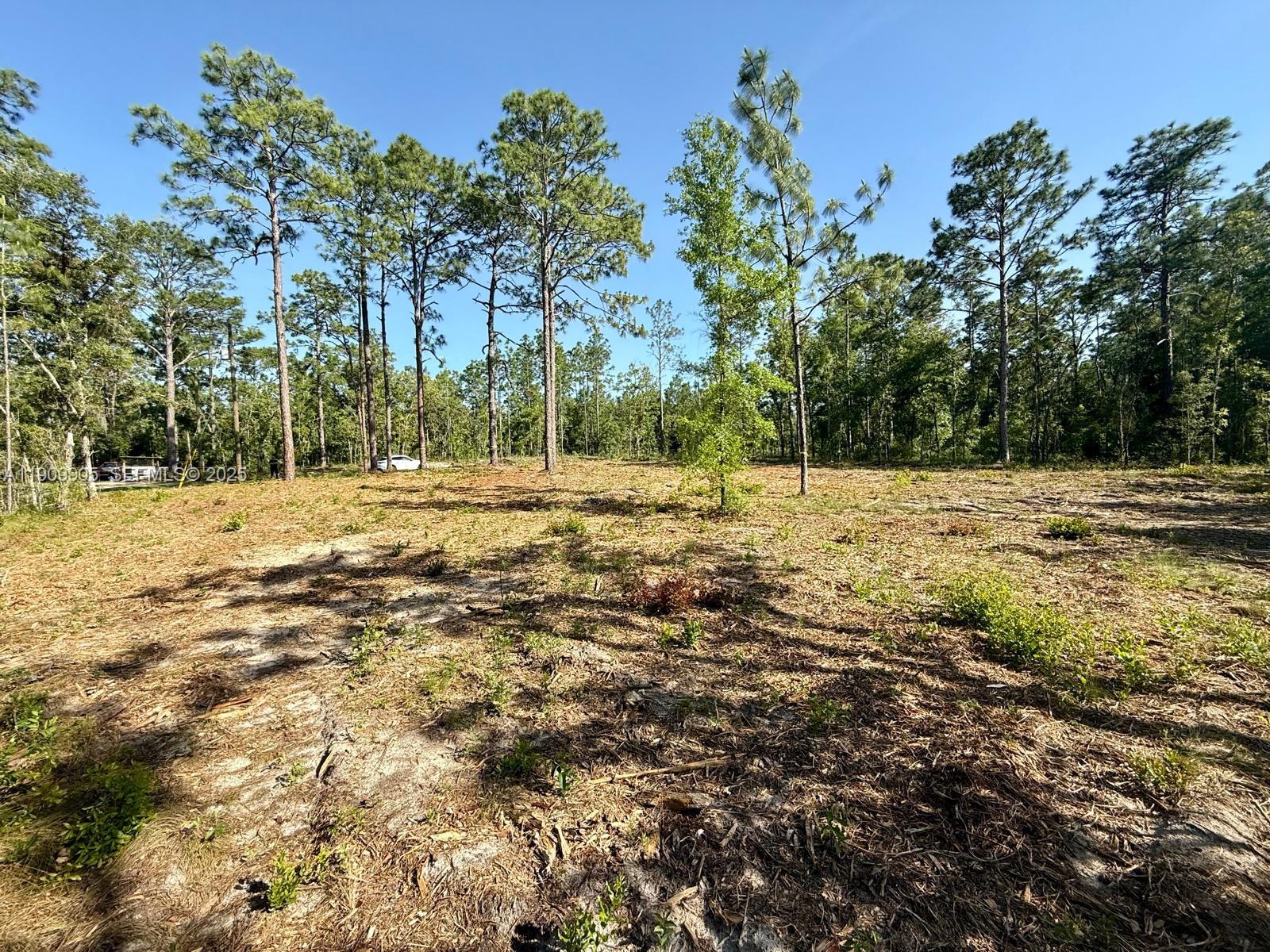 157 NW Th Avenue, Williston, FL 32696, Williston