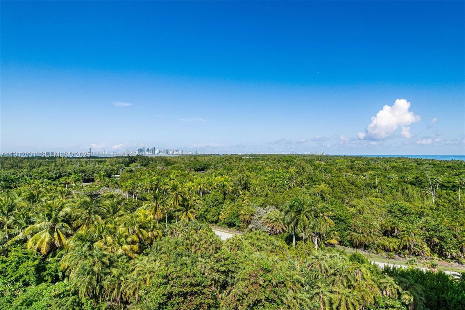 155 Ocean Lane Drive 1002, Key Biscayne, FL 33149 photo 29
