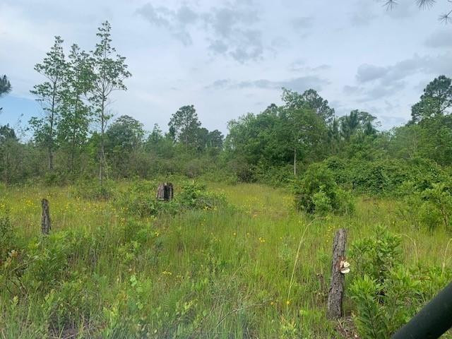0 Holopaw Groves Road, St. Cloud, FL 34772, St Cloud