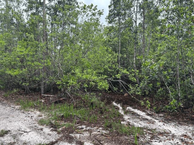 0 Holopaw Groves Road, Hp171 Holopaw, St. Cloud, FL