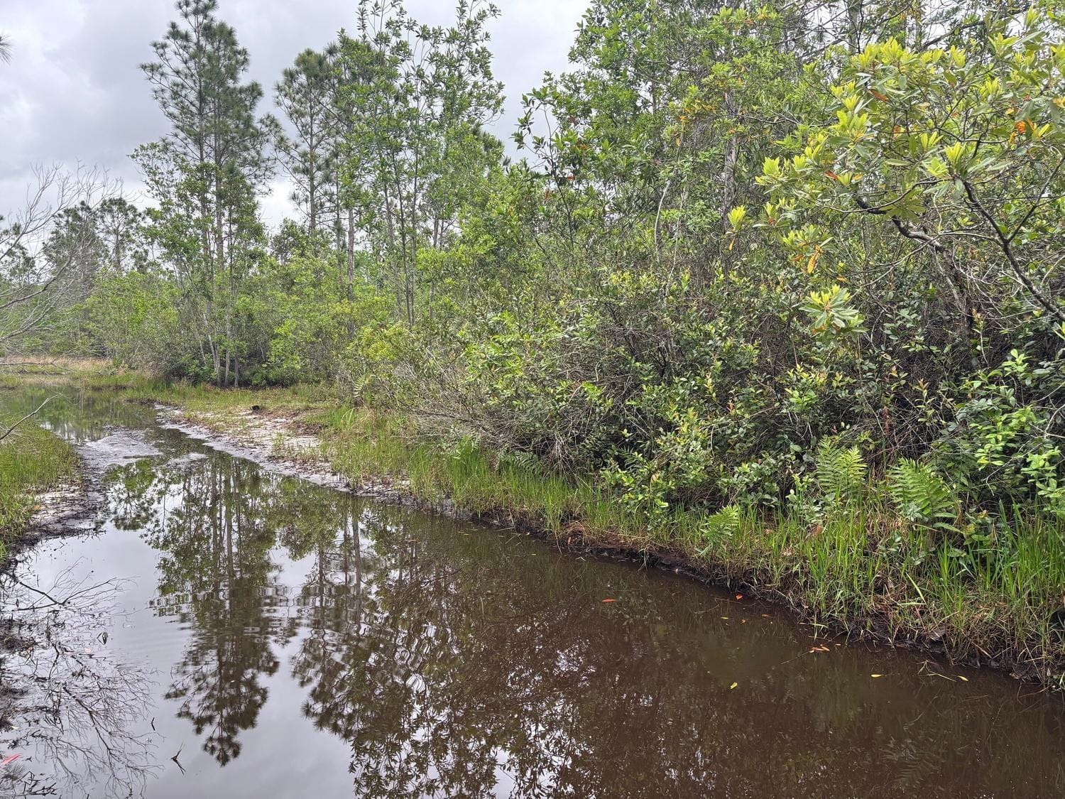 0 Holopaw Groves Road — photo 2