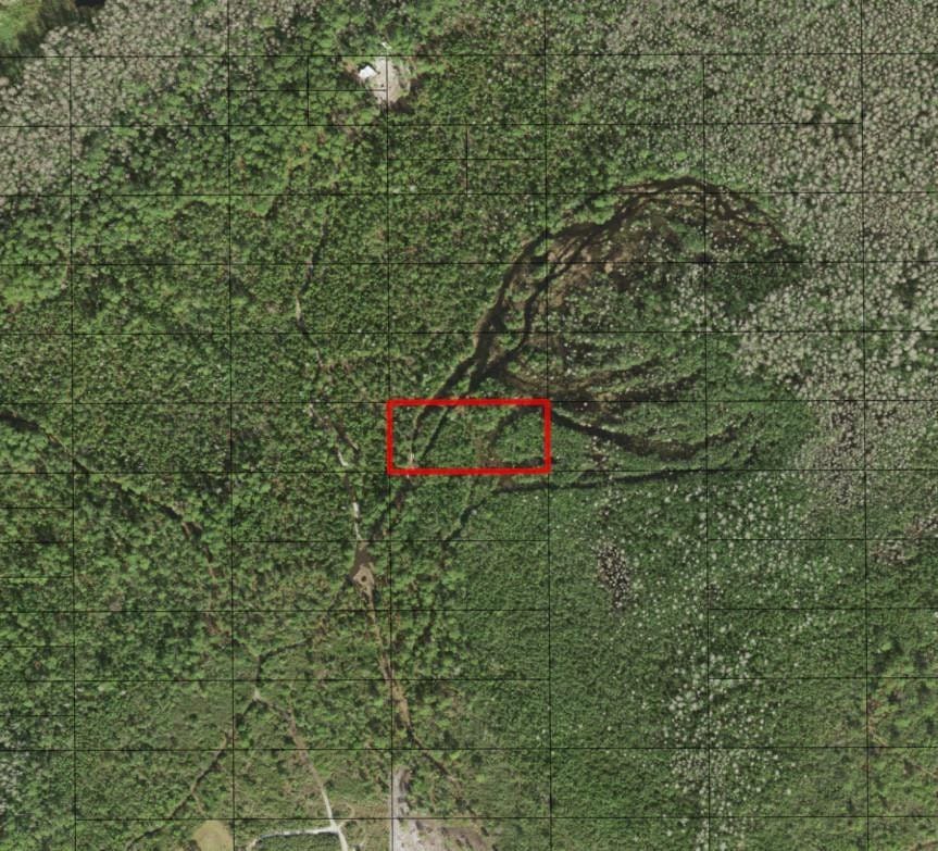 0 Holopaw Groves Road — photo 3