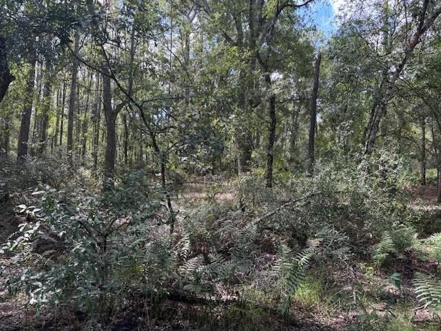 0 County Rd 54 — photo 2