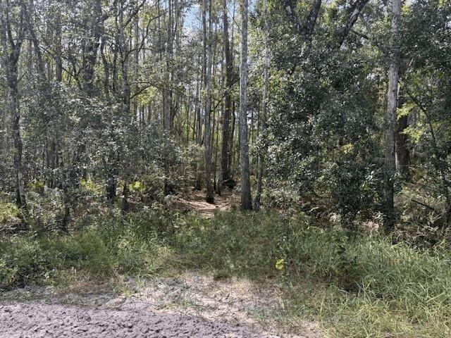 0 County Rd 54, Kathleen, FL 33849, Kathleen