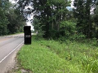 19220 N N Highway 329, FL 32667, Micanopy