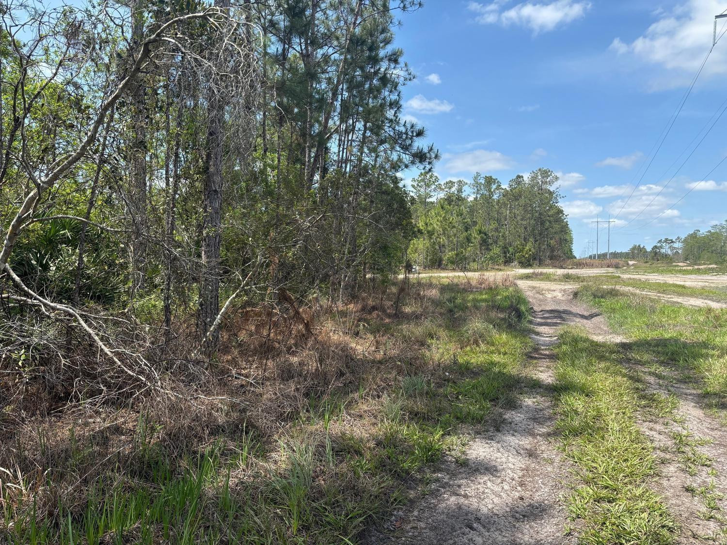 0 Holopaw Groves Road, St. Cloud, FL 34772, St Cloud