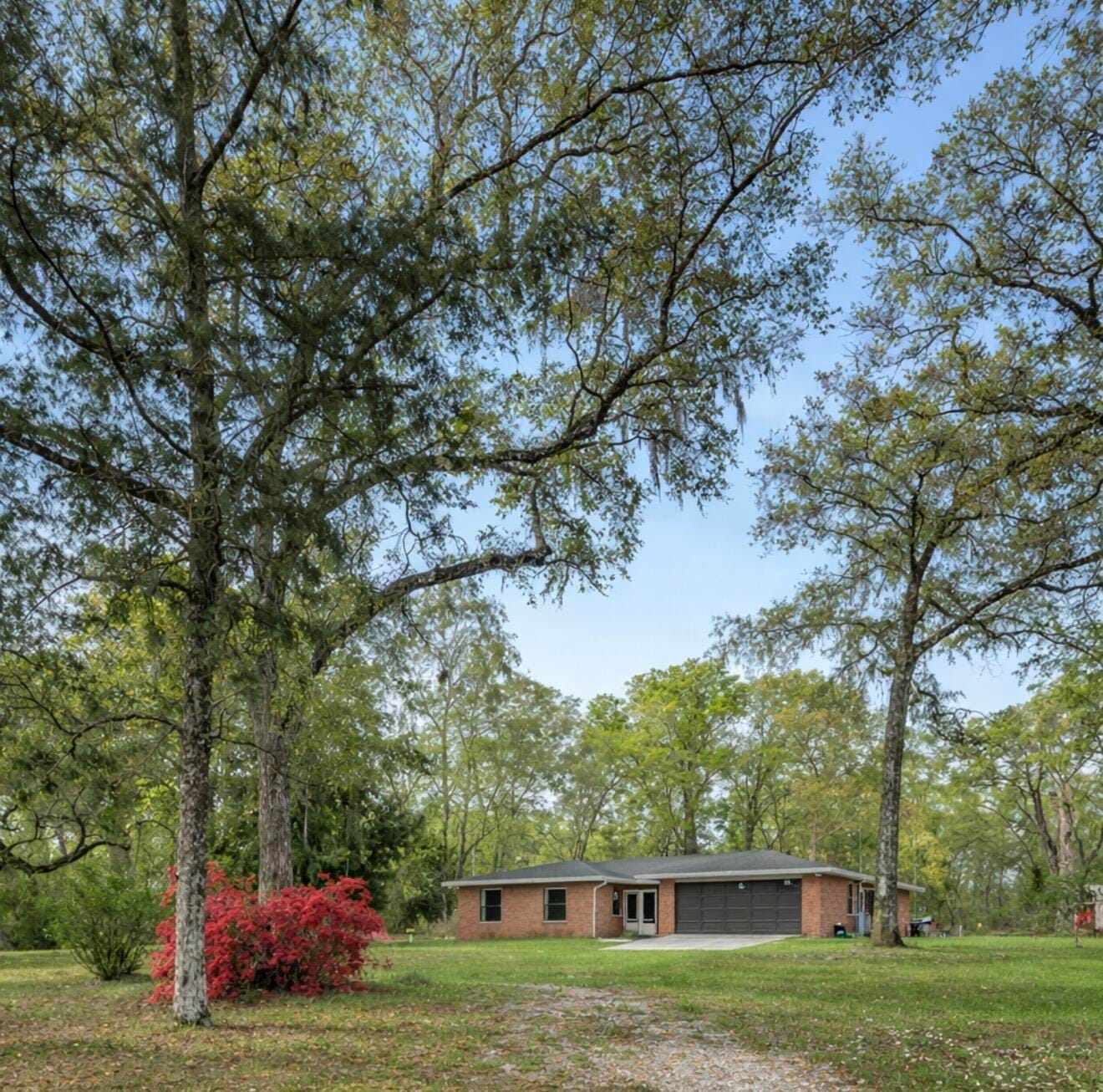 26250 Blackjack Street — photo 3