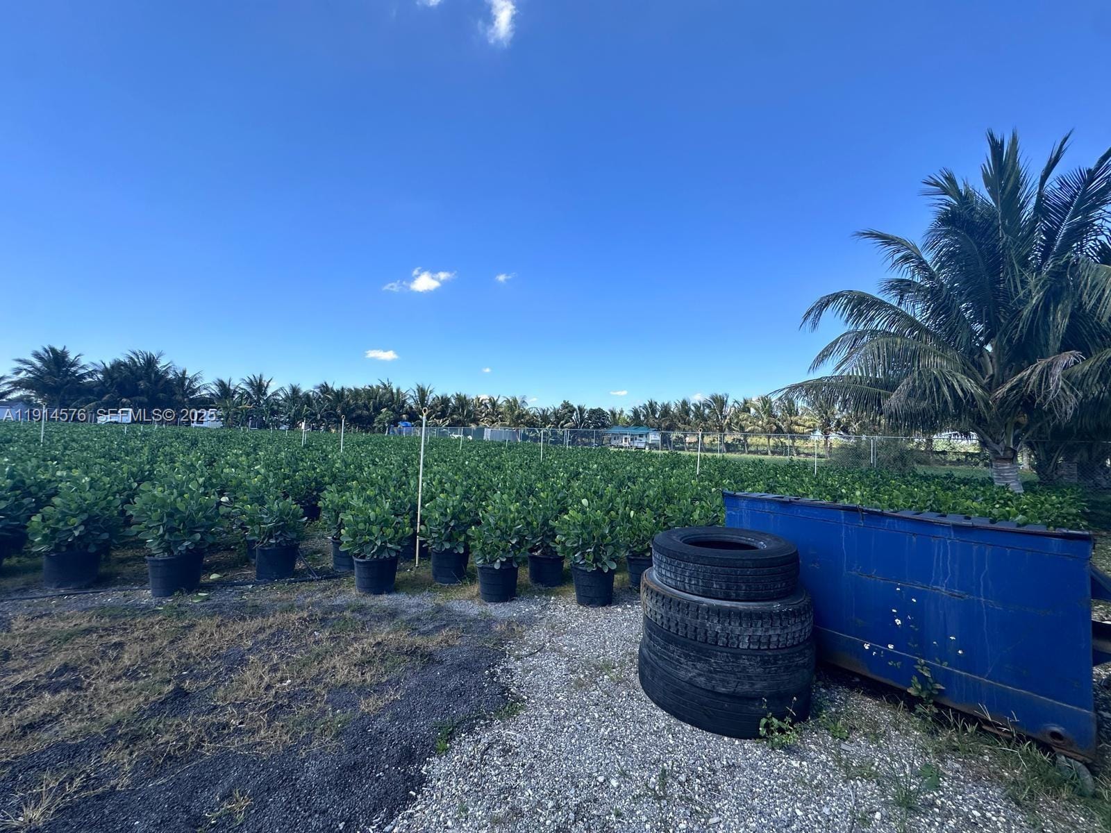 12250 Sw 194 Avenue, Miami, FL 33196 photo 16