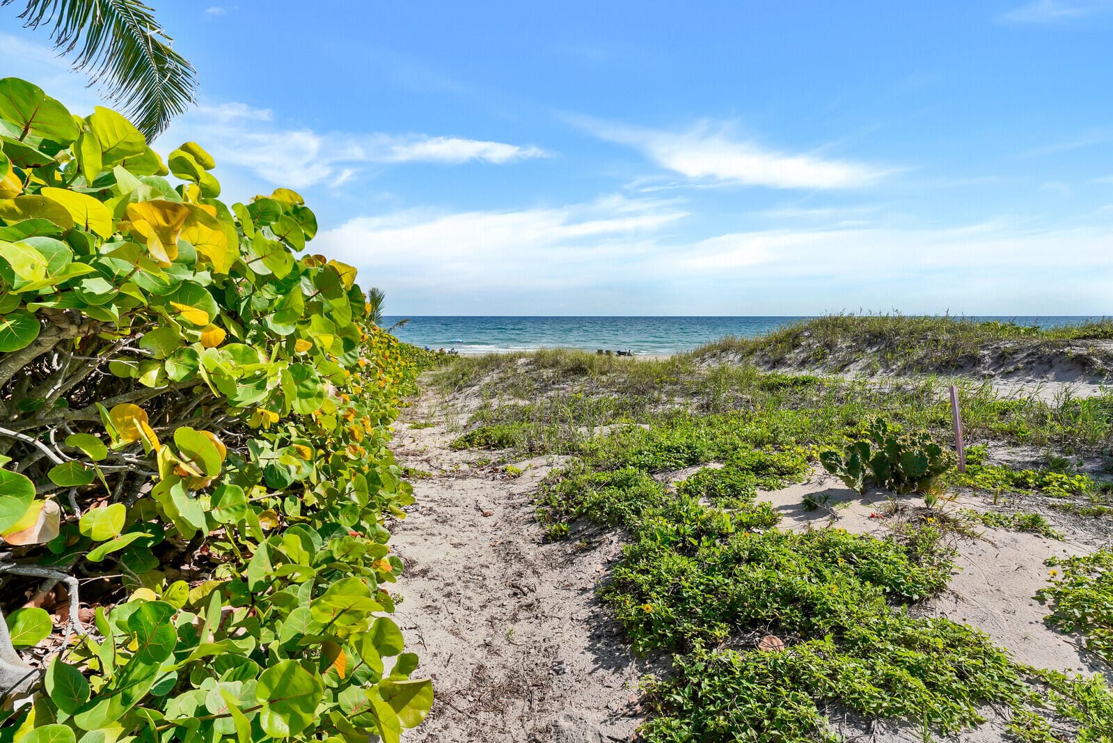 3051 S Ocean Boulevard 7020, Boca Raton, FL 33432 photo 29