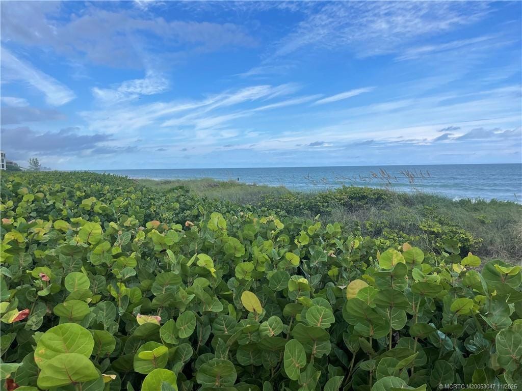 2355 NE Ocean Boulevard 1-20A, Stuart, FL 34996 photo 6