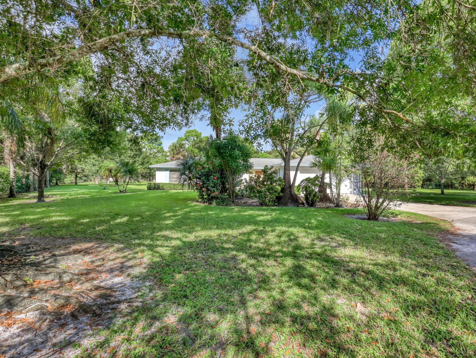 853 Palo Verde Court, Haverhill, FL 33415 photo 3