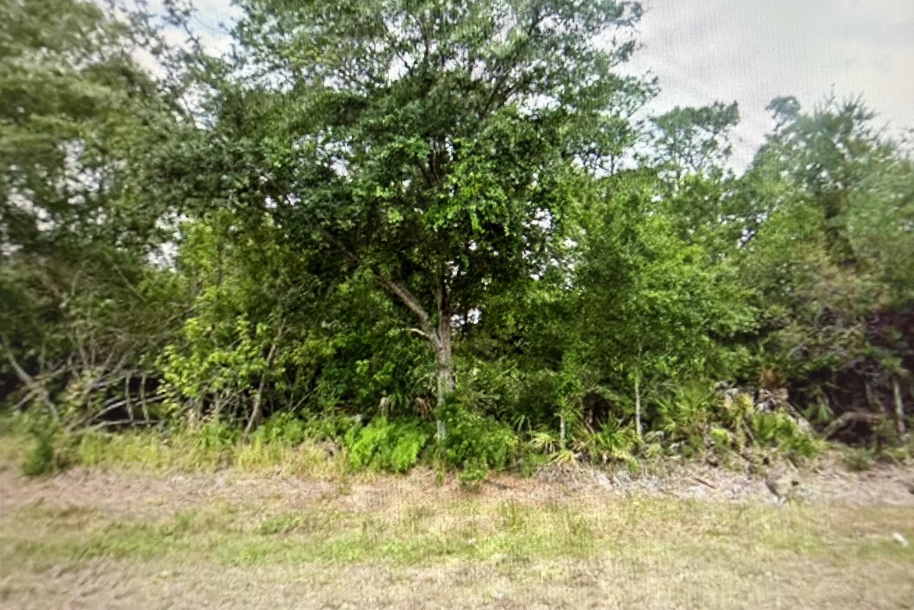 1001 Porsche Avenue, Sebring, FL 33872, Sebring