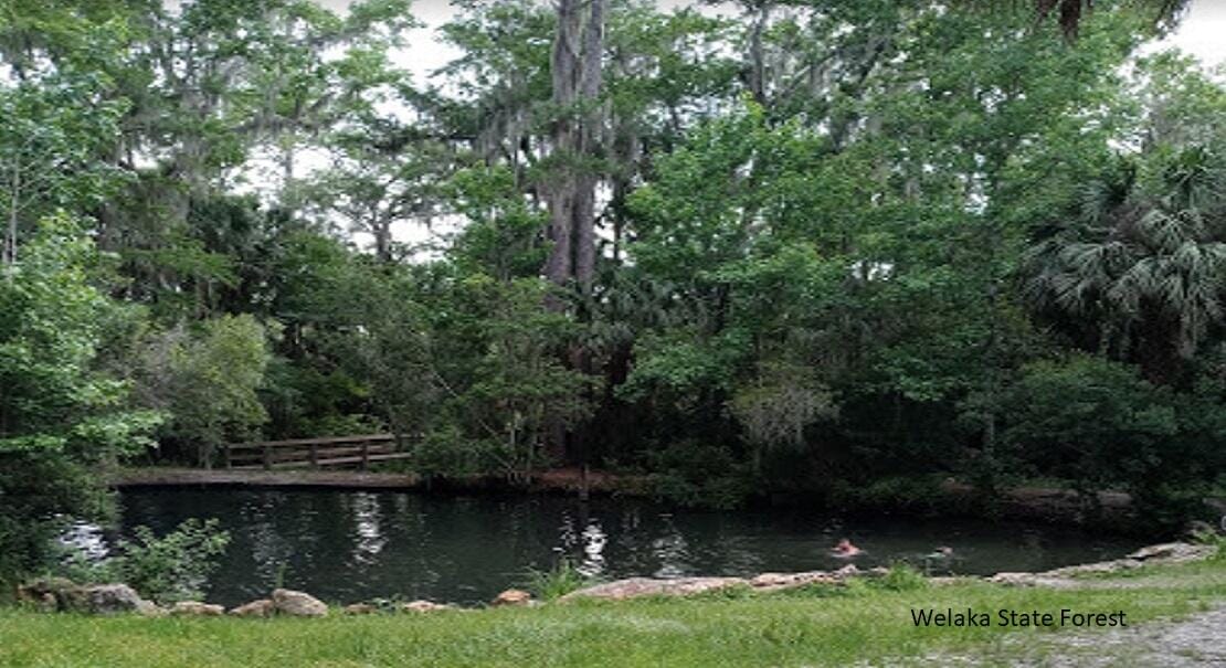 175 Park Avenue, Interlachen, FL 32148 photo 2