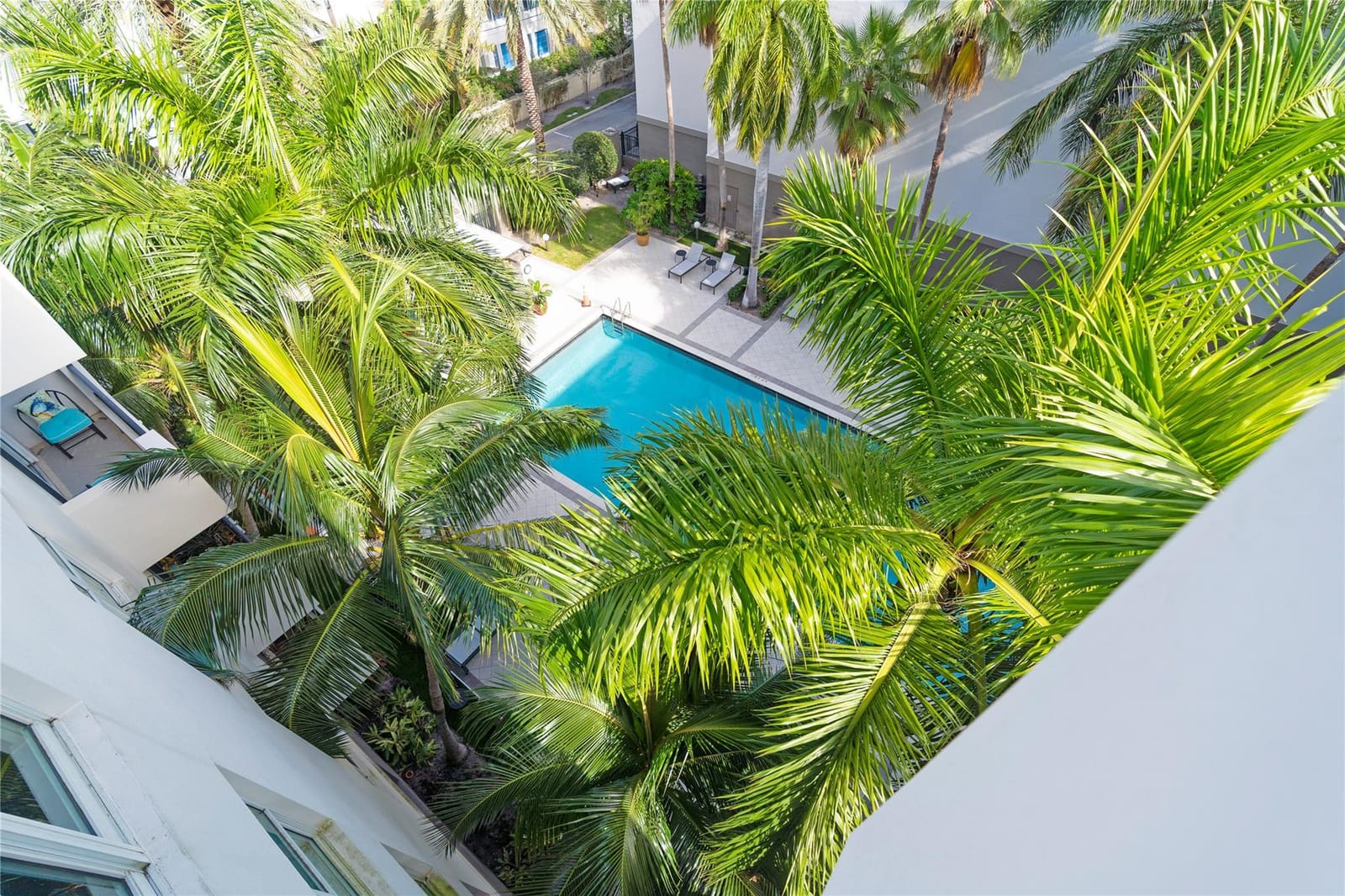 2401 NE 65th Street 603, Fort Lauderdale, FL 33308 photo 24