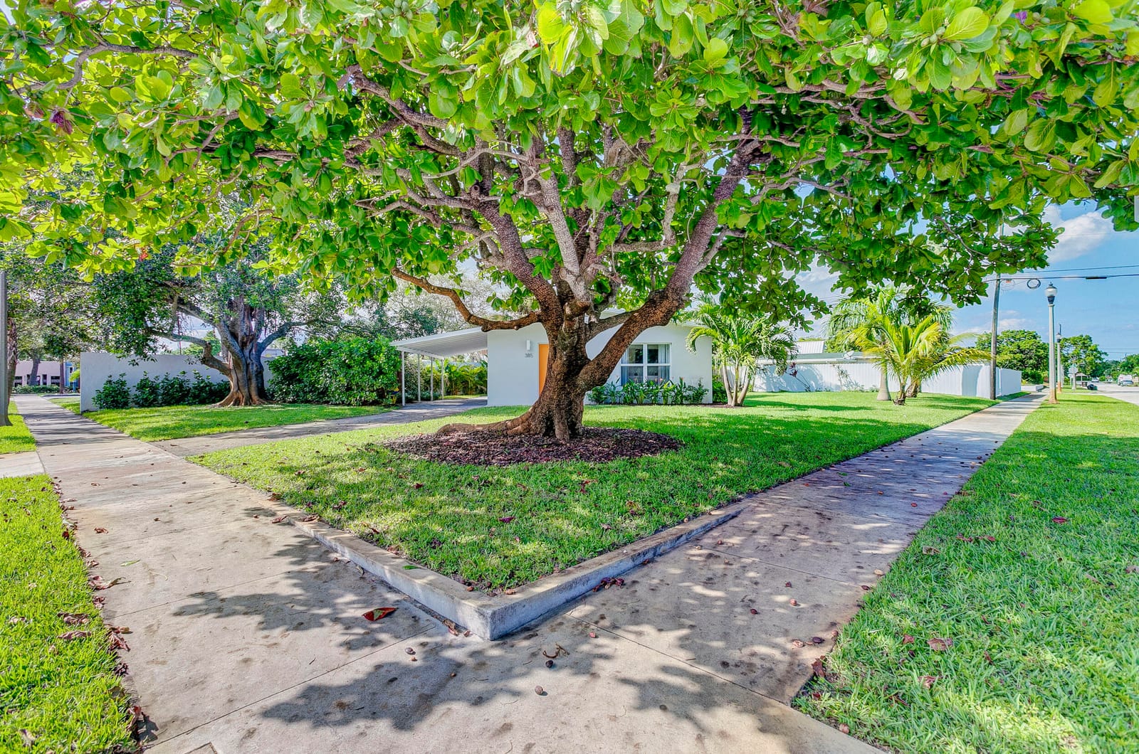 385 Hunter Street, West Palm Beach, FL 33405 photo 26