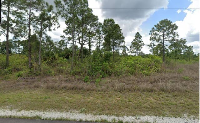 1003 Hines Avenue, Alva, FL 33920