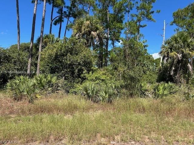 675 Nassau Circle, Banyan Village, LaBelle, FL