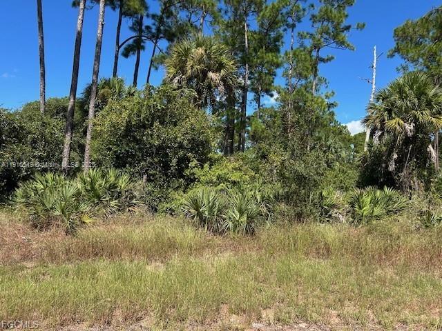 675 Nassau Circle, LaBelle, FL 33935, Labelle