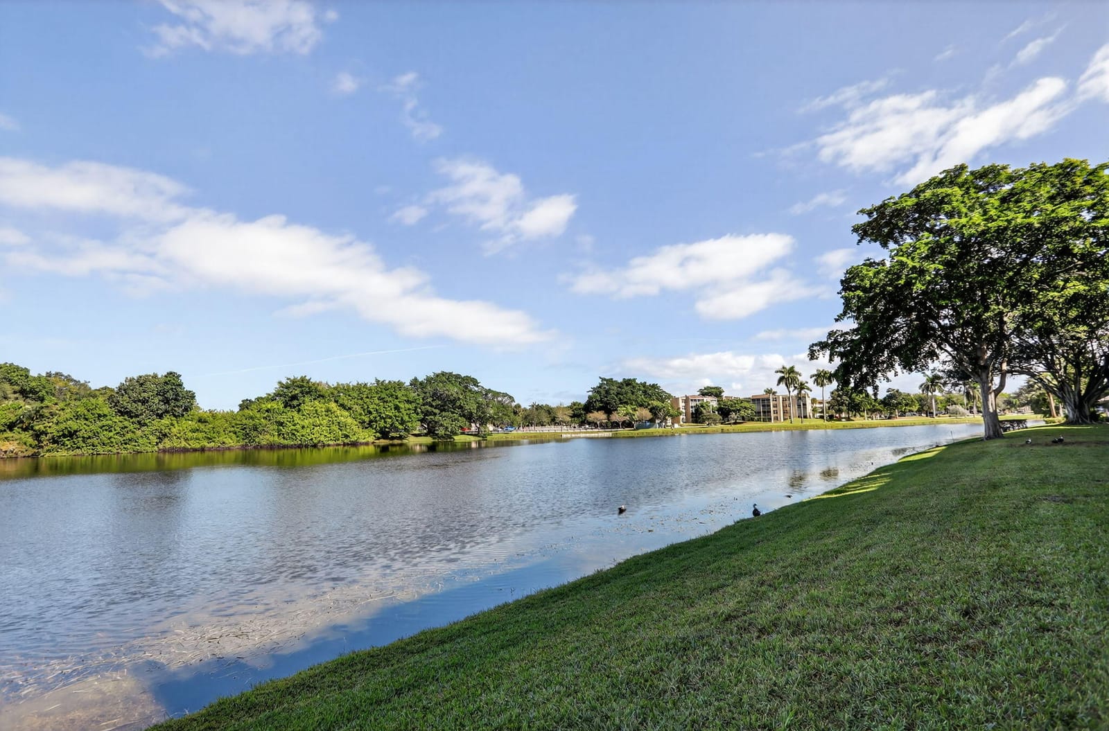 9450 Poinciana Place 203, Davie, FL 33324 photo 28