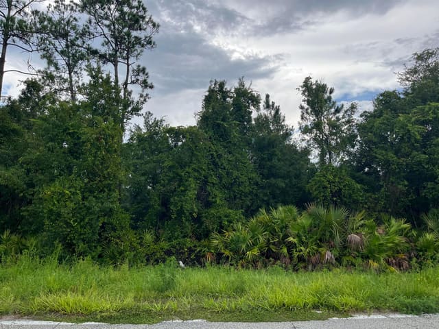 6883 St Johns Avenue, Palatka, FL 32177