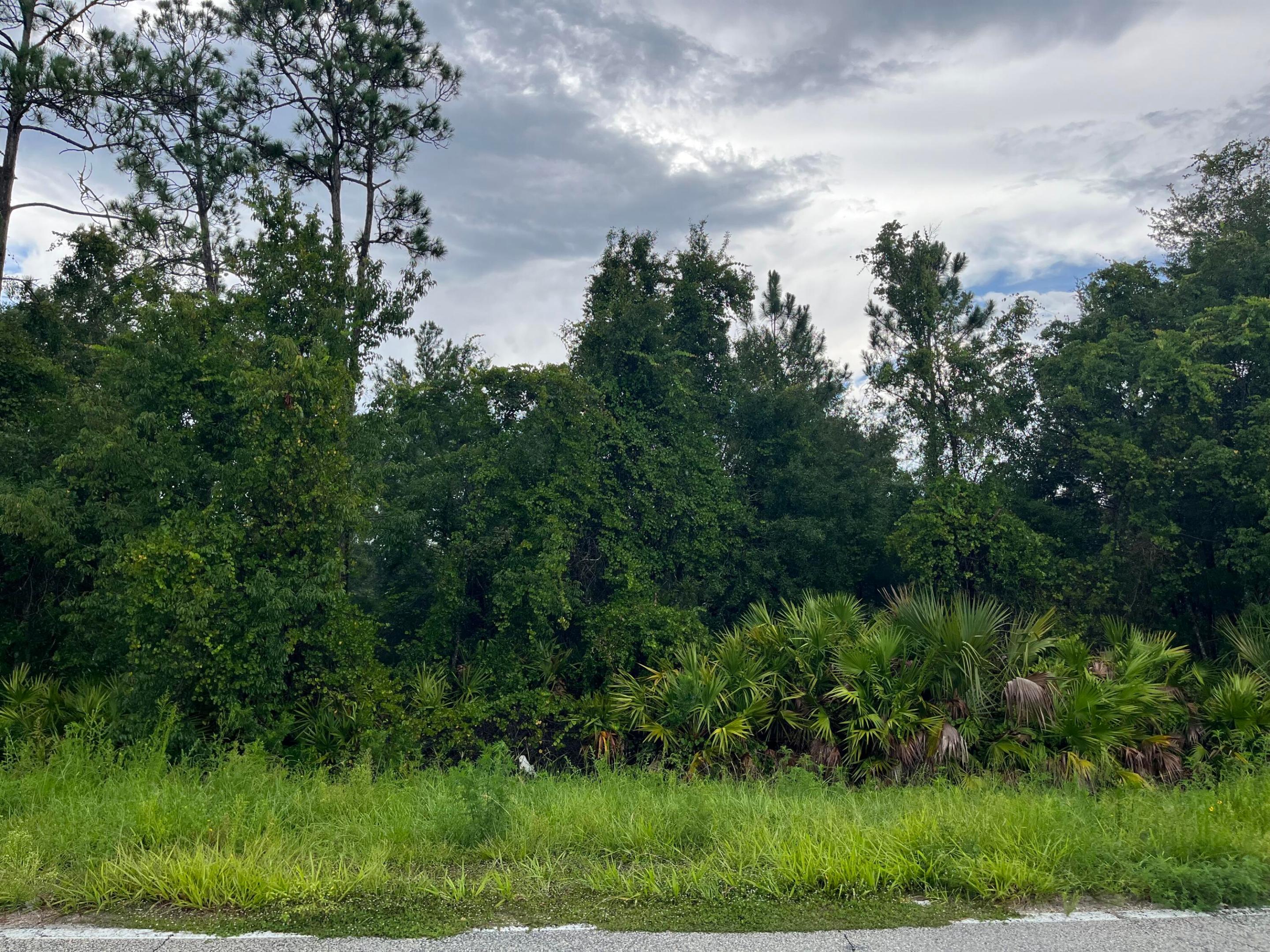 6883 St Johns Avenue, Palatka, FL 32177, Palatka