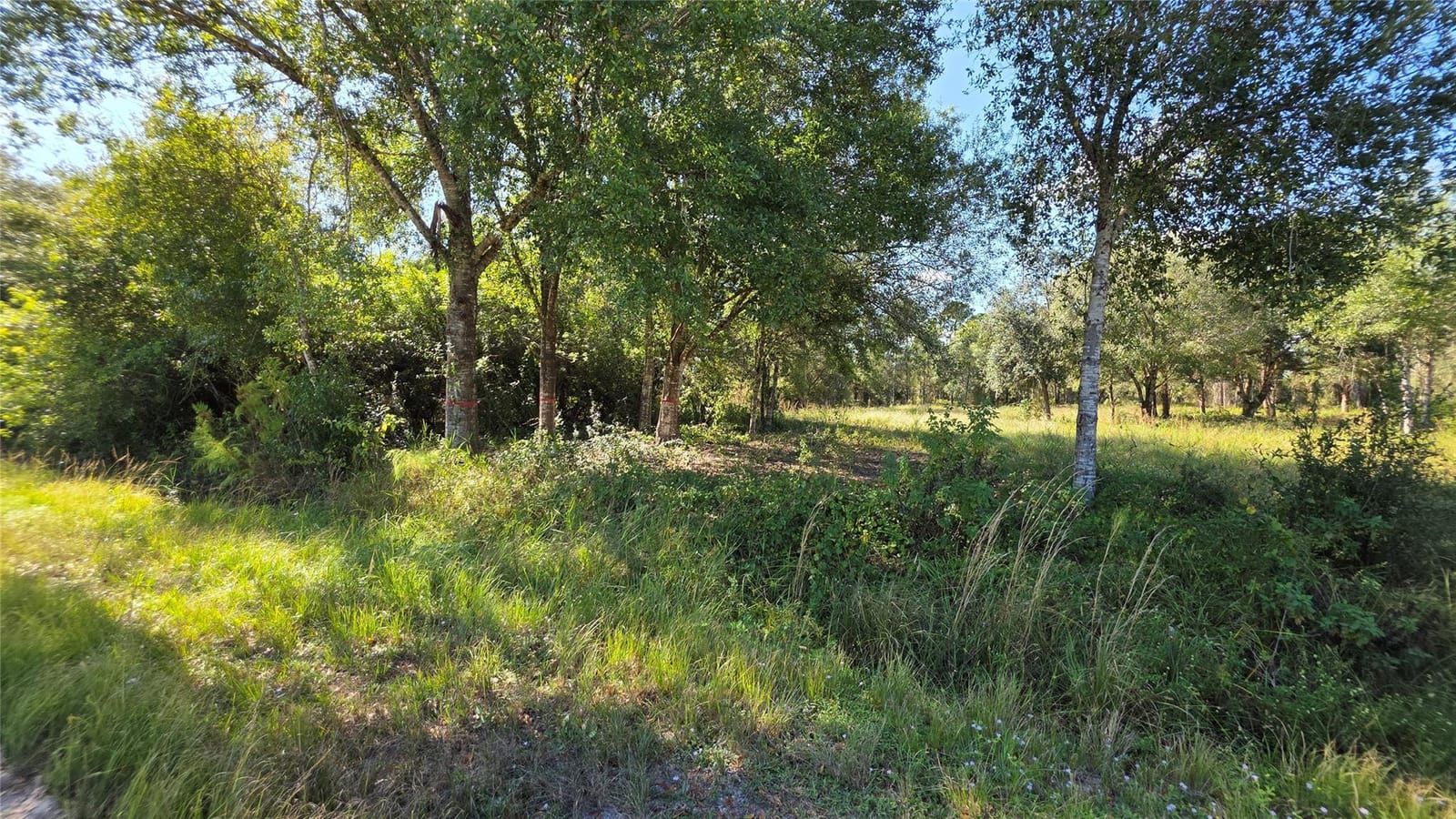 340 N Jinete Street — photo 6