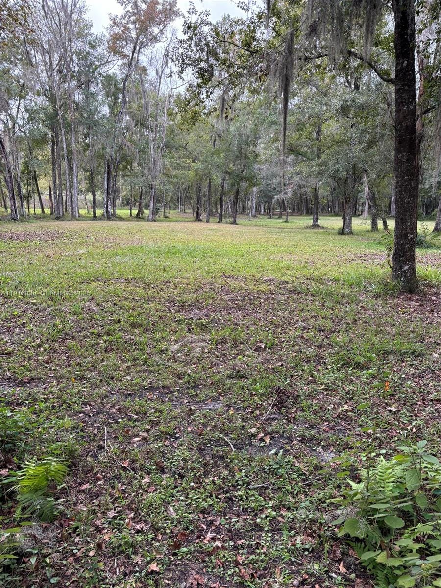 6169 County Road 209 S, FL 32043 photo 17